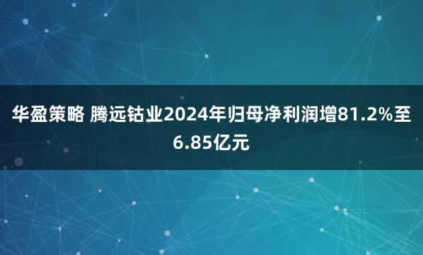 华盈策略 腾远钴业2024年归母净利润增81.2%至6.85亿元