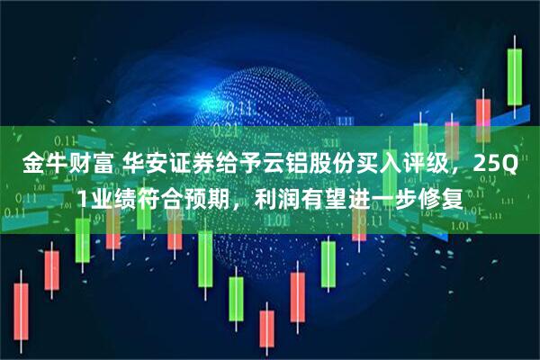 金牛财富 华安证券给予云铝股份买入评级，25Q1业绩符合预期，利润有望进一步修复