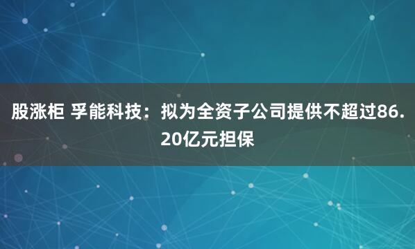 股涨柜 孚能科技：拟为全资子公司提供不超过86.20亿元担保