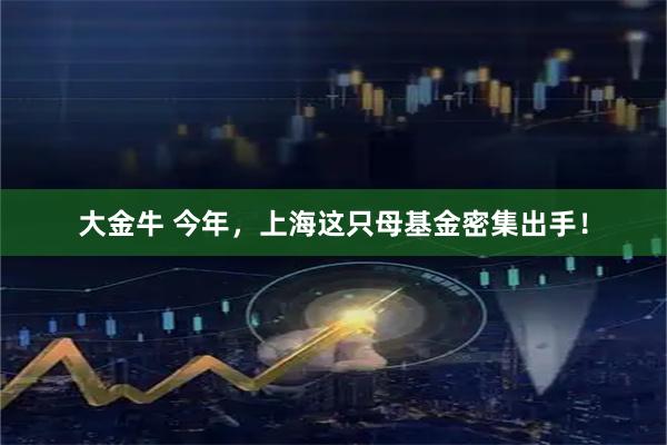 大金牛 今年,上海这只母基金密集出手!